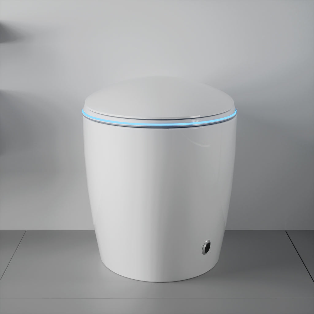 Unique Smart Toilet
