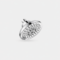 6-Function Fixed Shower Head